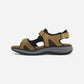 Embark Stampede